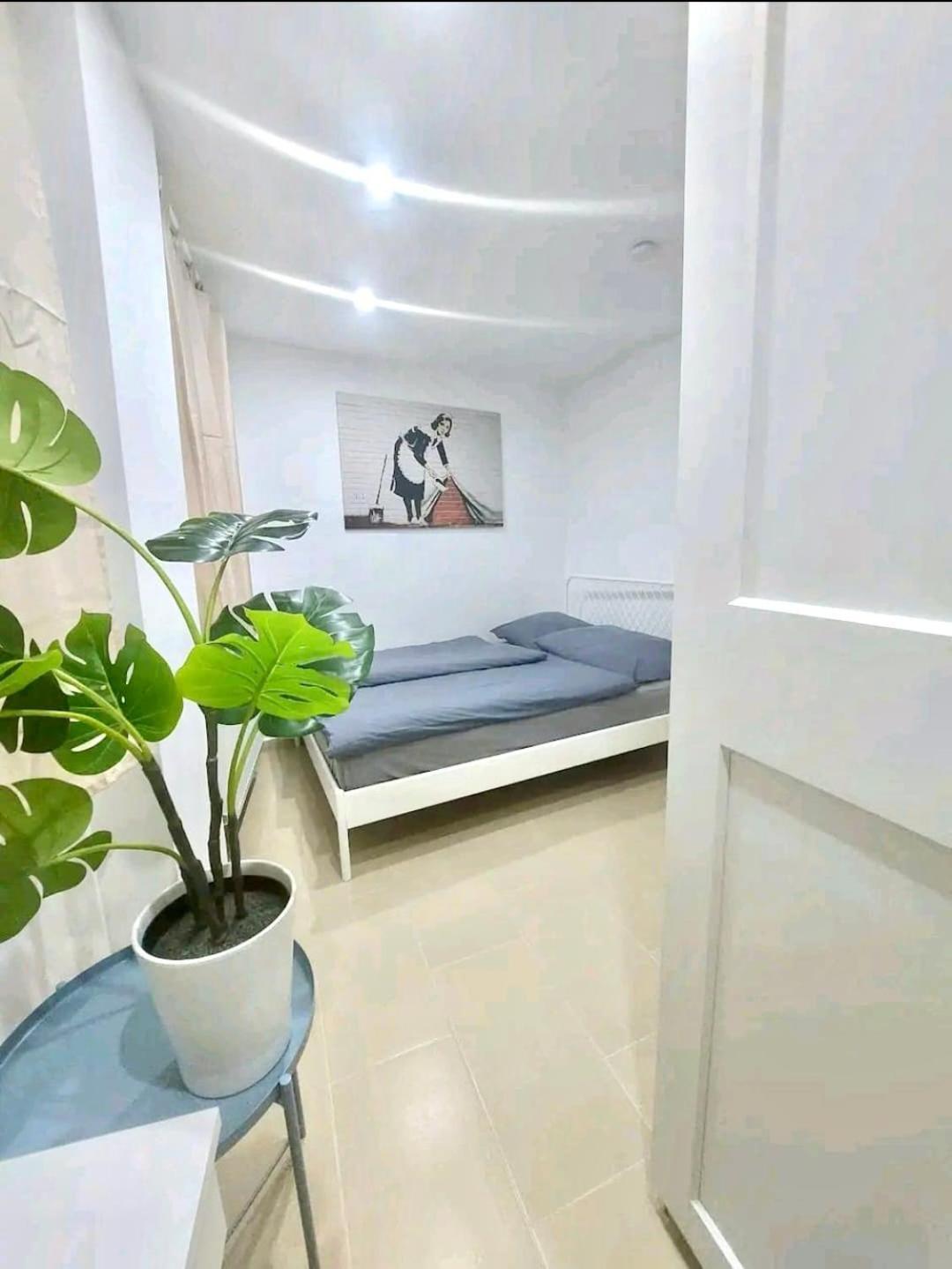 Cozy Nest *
